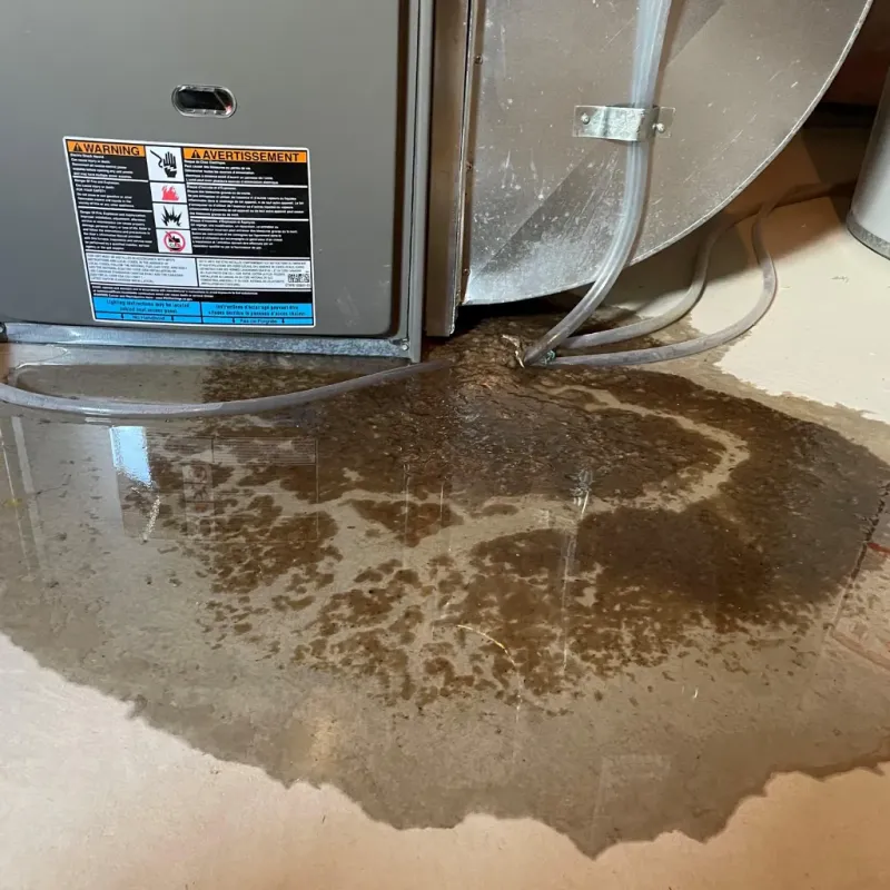 Appliance Leak Cleanup in Baca County, CO