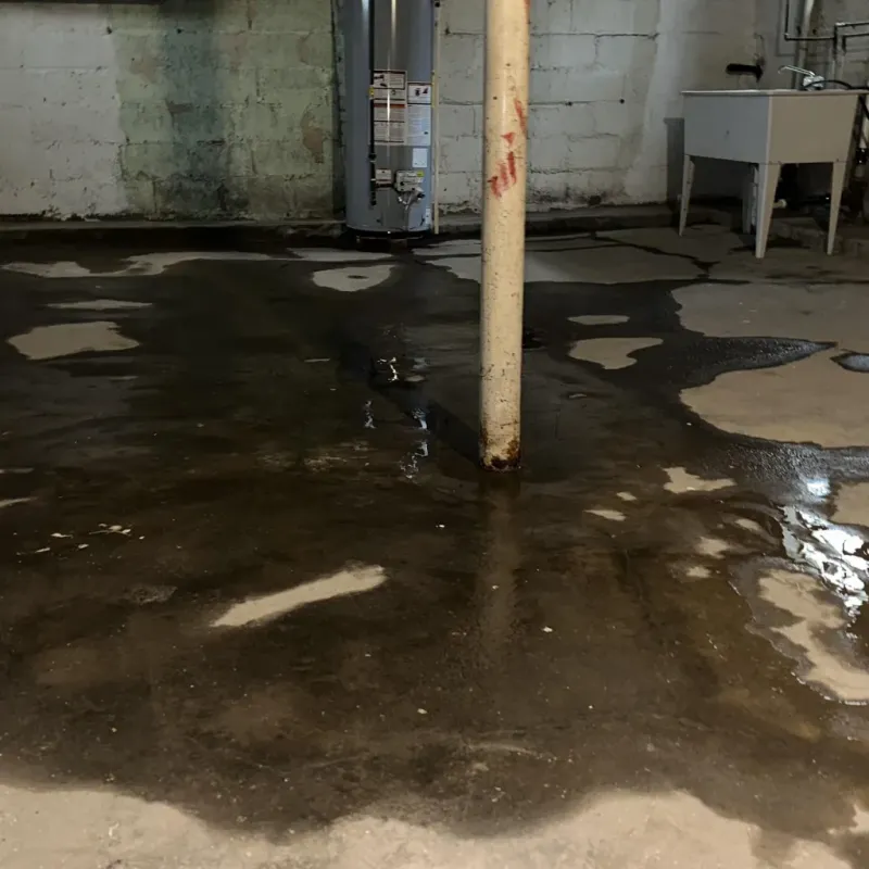 Emergency Water Extraction And Removal in Baca County, CO